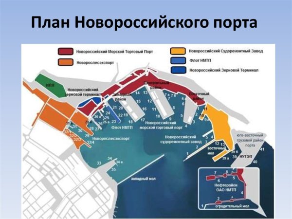 Структура морского порта Новороссийск