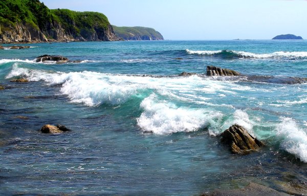 Японское море Приморский край