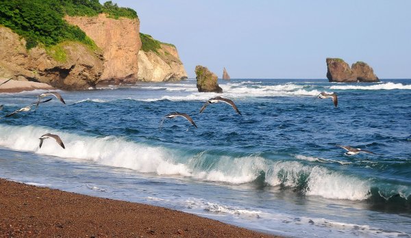 Японское море Ливадия