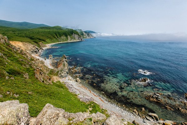 Сихотэ-Алинский заповедник мыс Северный