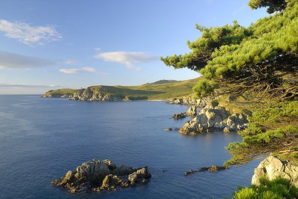 Дальневосточный морской заповедник Приморский край