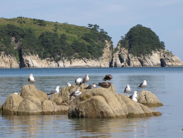 Приморский край Дальневосток
