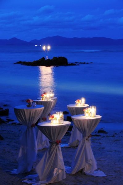 Добрый вечер природа