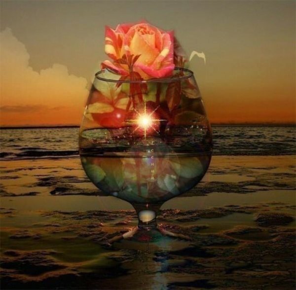 Вино на море вечером