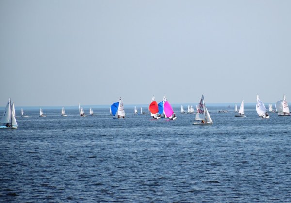 Парусная регата Лаишево