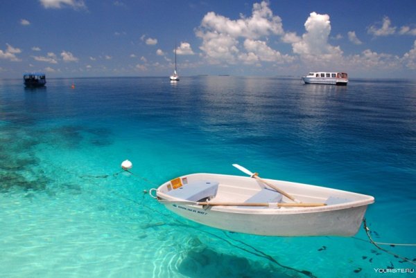 Красота моря