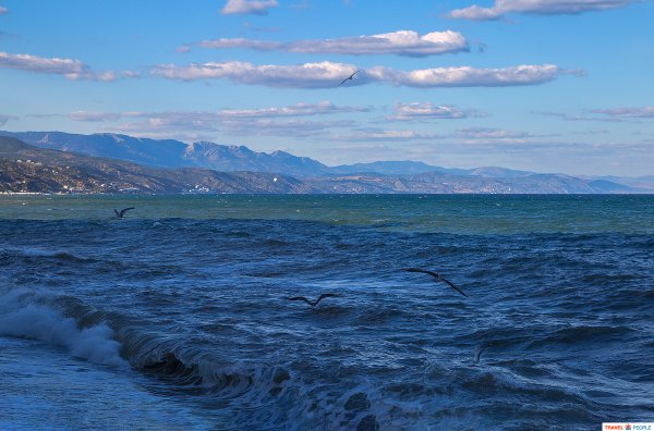 Скоро на море