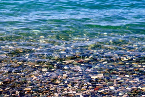 Море волнуется в нас