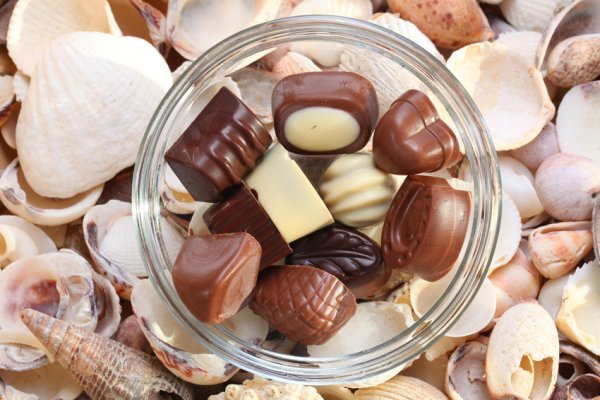 Море шоколада
