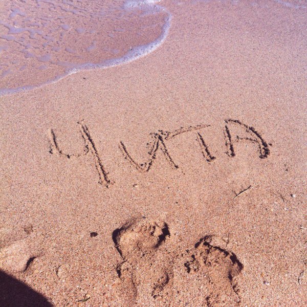 Привет с моря картинки