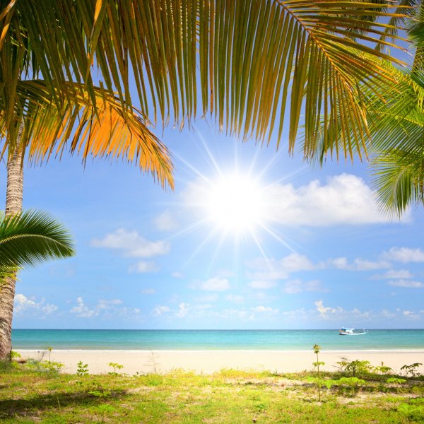 Пляж с пальмами