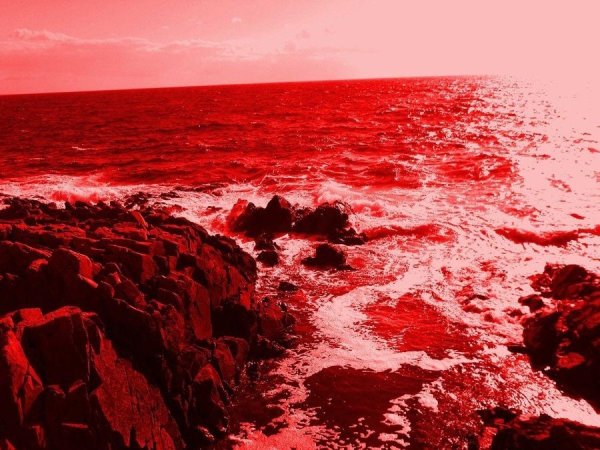 Красный океан