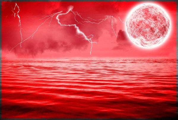 Бронислав Линке море пролитой крови