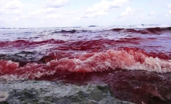 Красная вода