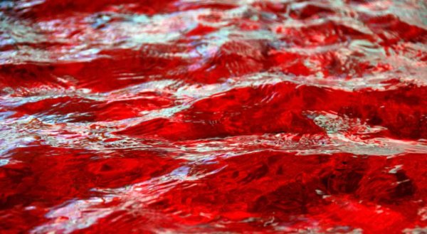 Море красного цвета