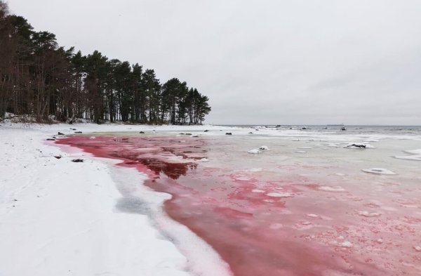 Красные капли