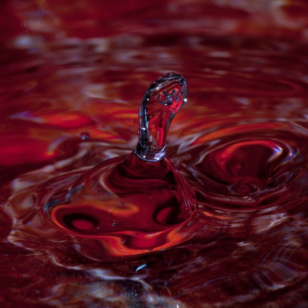 Цветы в воде Эстетика