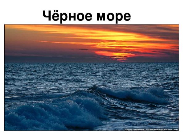 Финский залив волны