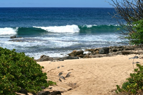 Морское побережье фото