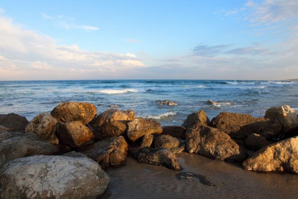 Море необработанное