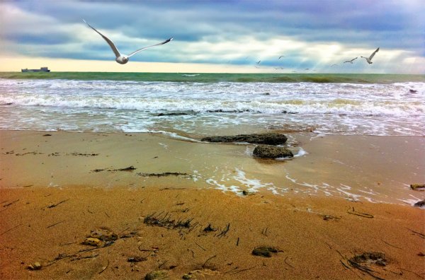 Море Евпатории пейзаж