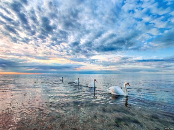 Рассвет на море Евпатория