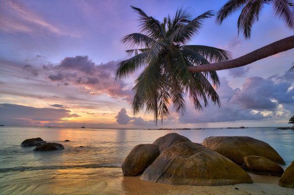 Море волны пальмы