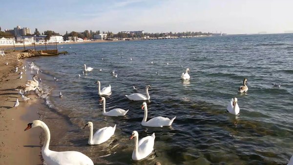 Евпатория море