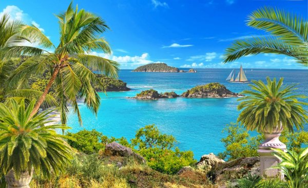 Море пальмы