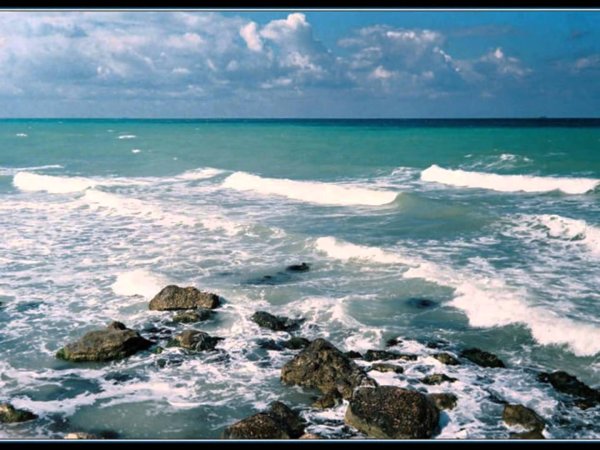 Черное море картинки