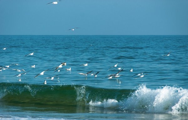 «Шторм на черном море». Ацвазовский