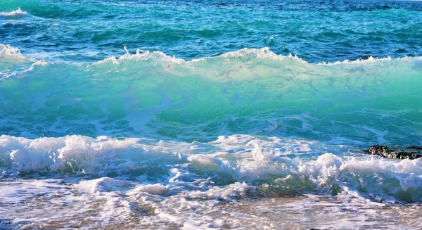 Галоклин Балтийское море