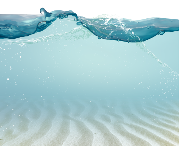 Пальмы пляж на прозрачном фоне