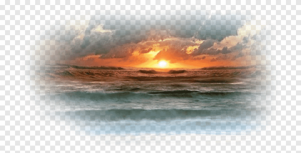 Волна вектор