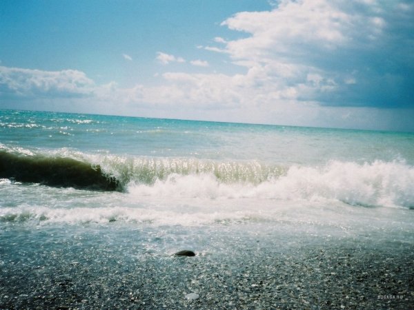 Лето море пляж