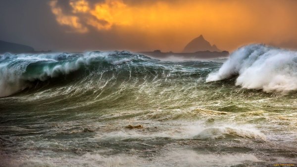 Девушка на берегу моря