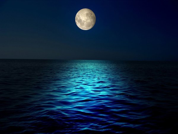 Лунная ночь на море