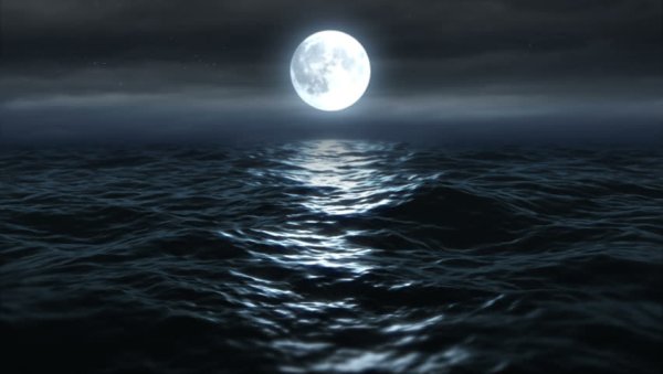 Ночное море