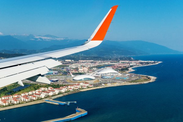 Самолет над пальмами