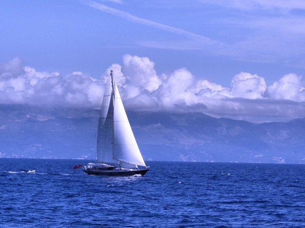 Парусник в море