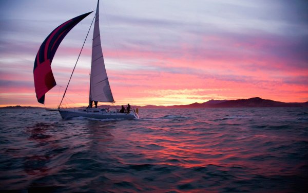 EVERFOCUS Ace-h220ma