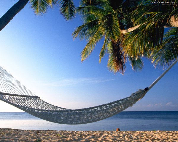 Гамак на Пальме