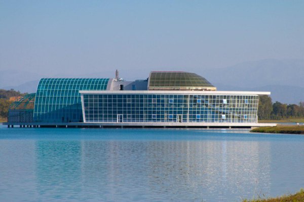 Грозный Черноречье фонтан