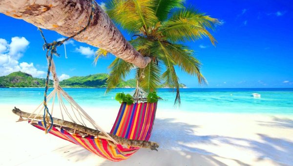 Гамак на Пальме