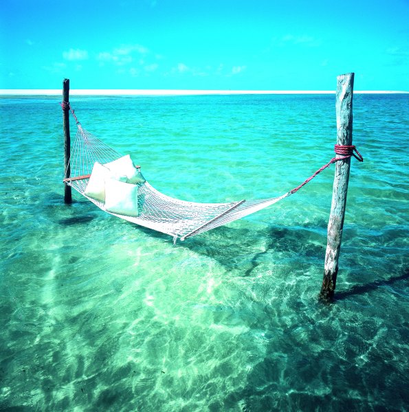 Гамак между деревьями