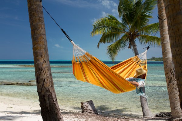 Гамак на Пальме