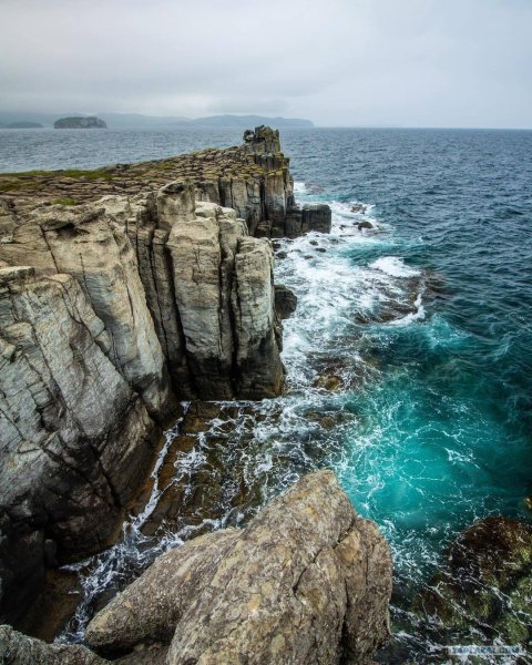 Тобизина Владивосток