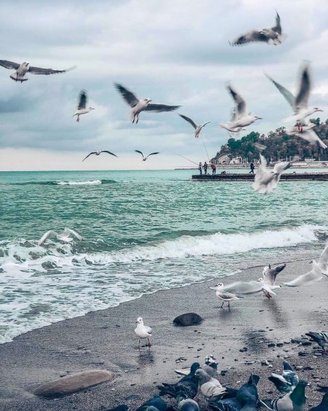 Лазаревское пляж Лазурный