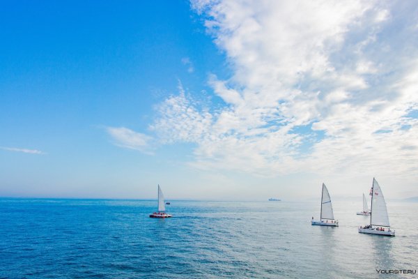 Три подруги на закате