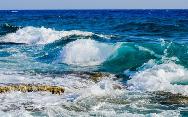 Моря и океаны